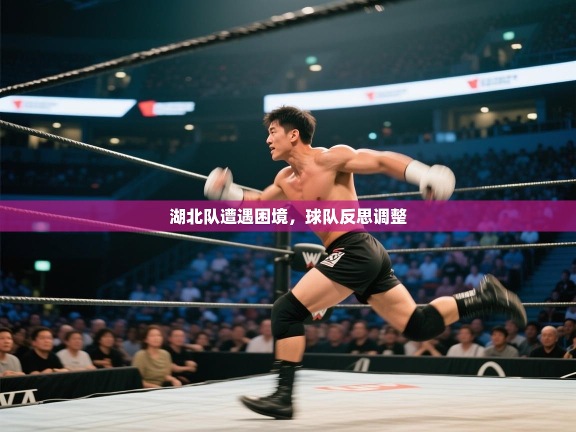 云开体育官网入口登录网页-湖北队遭遇困境，球队反思调整  第2张