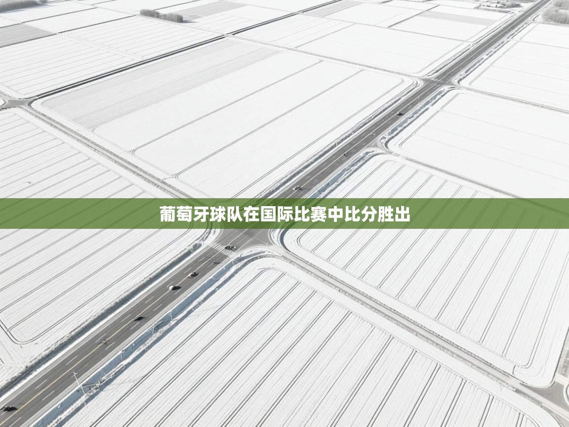 开云体育在线网址-葡萄牙球队在国际比赛中比分胜出 第1张