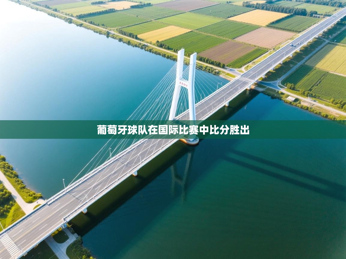 开云体育在线网址-葡萄牙球队在国际比赛中比分胜出 第3张