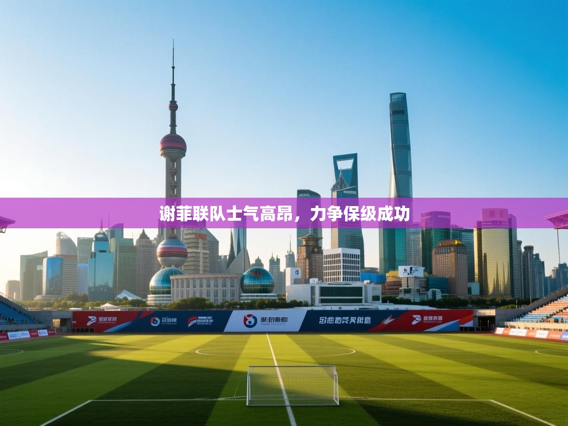 云开体育app网页版入口-谢菲联队士气高昂，力争保级成功  第2张