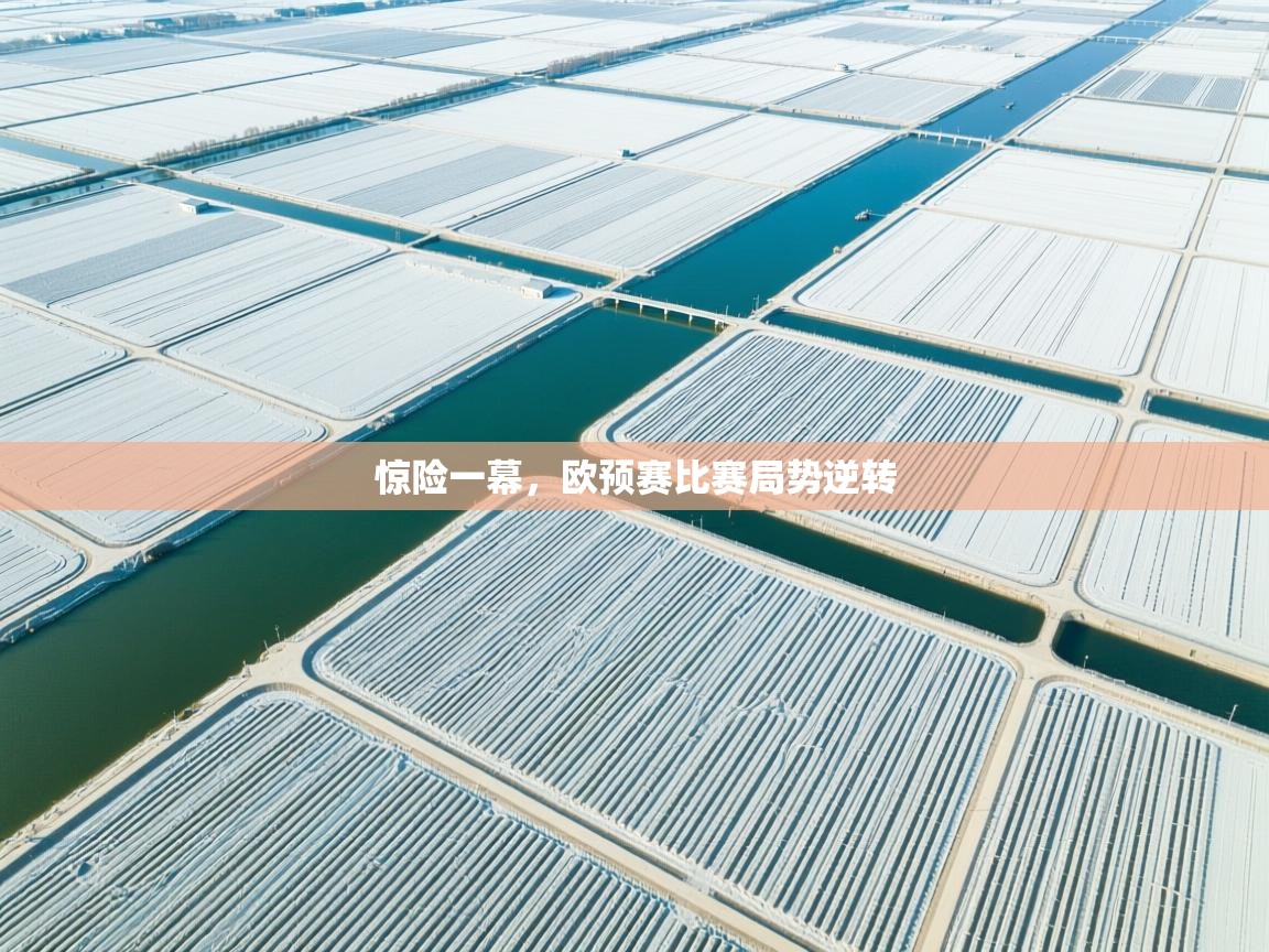 开云体育消息订阅关闭-惊险一幕，欧预赛比赛局势逆转  第1张