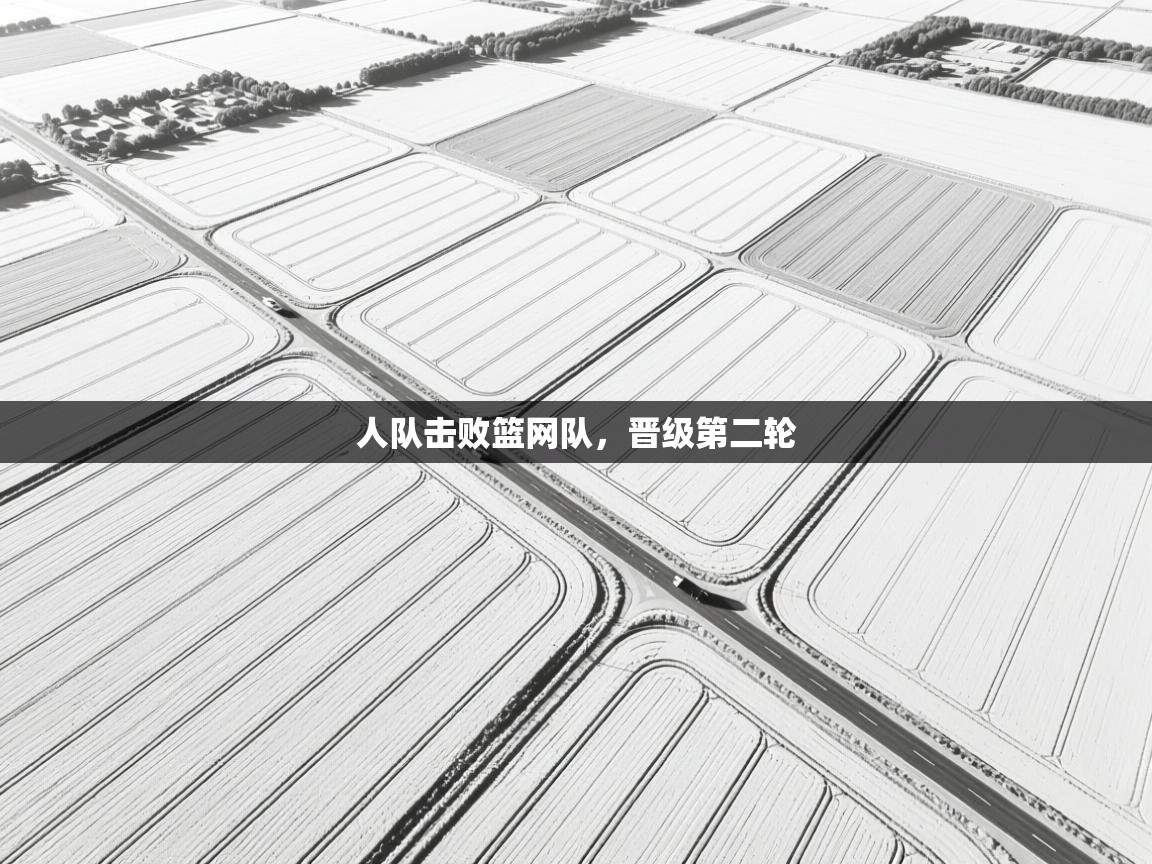 开云体育苹果版下载-人队击败篮网队，晋级第二轮  第4张